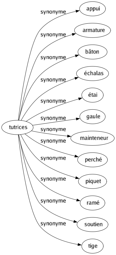 Synonyme de Tutrices : Appui Armature Bâton Échalas Étai Gaule Mainteneur Perché Piquet Ramé Soutien Tige 