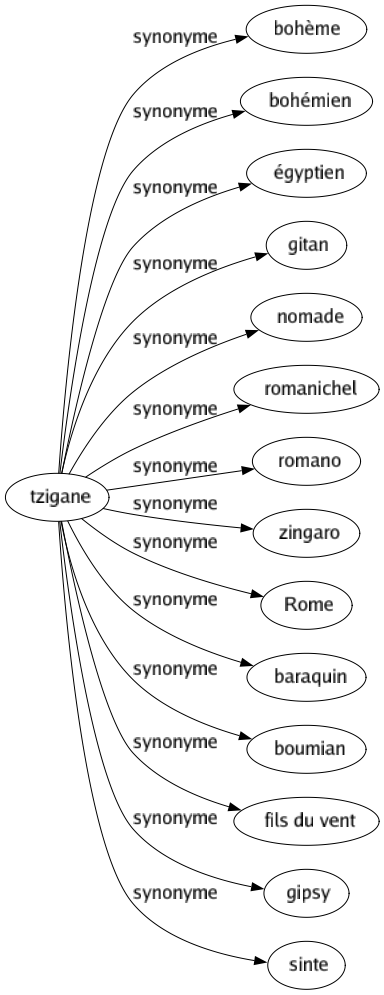 Synonyme de Tzigane : Bohème Bohémien Égyptien Gitan Nomade Romanichel Romano Zingaro Rome Baraquin Boumian Fils du vent Gipsy Sinte 