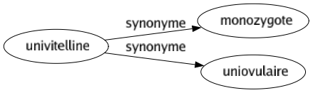 Synonyme de Univitelline : Monozygote Uniovulaire 