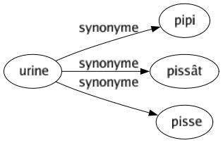 Synonyme de Urine : Pipi Pissât Pisse 