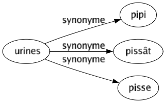 Synonyme de Urines : Pipi Pissât Pisse 