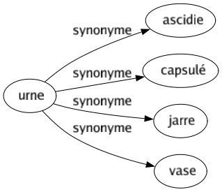 Synonyme de Urne : Ascidie Capsulé Jarre Vase 
