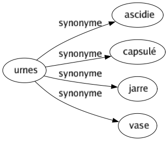 Synonyme de Urnes : Ascidie Capsulé Jarre Vase 