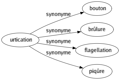 Synonyme de Urtication : Bouton Brûlure Flagellation Piqûre 