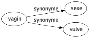 Synonyme de Vagin : Sexe Vulve 