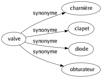 Synonyme de Valve : Charnière Clapet Diode Obturateur 