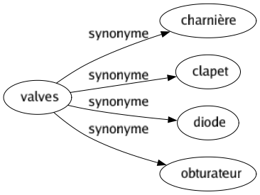 Synonyme de Valves : Charnière Clapet Diode Obturateur 