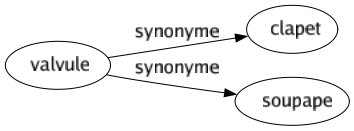 Synonyme de Valvule : Clapet Soupape 