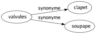 Synonyme de Valvules : Clapet Soupape 