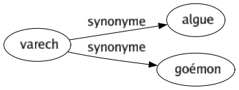 Synonyme de Varech : Algue Goémon 