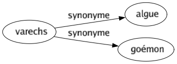 Synonyme de Varechs : Algue Goémon 