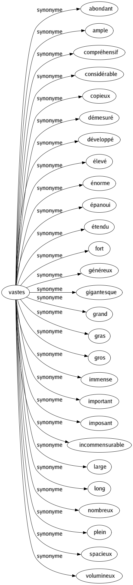 Synonyme de Vastes : Abondant Ample Compréhensif Considérable Copieux Démesuré Développé Élevé Énorme Épanoui Étendu Fort Généreux Gigantesque Grand Gras Gros Immense Important Imposant Incommensurable Large Long Nombreux Plein Spacieux Volumineux 