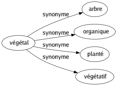 Synonyme de Végétal : Arbre Organique Planté Végétatif 