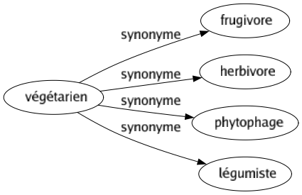 Synonyme de Végétarien : Frugivore Herbivore Phytophage Légumiste 