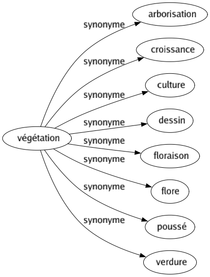 Synonyme de Végétation : Arborisation Croissance Culture Dessin Floraison Flore Poussé Verdure 