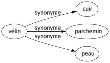 Synonyme de Vélin : Cuir Parchemin Peau 