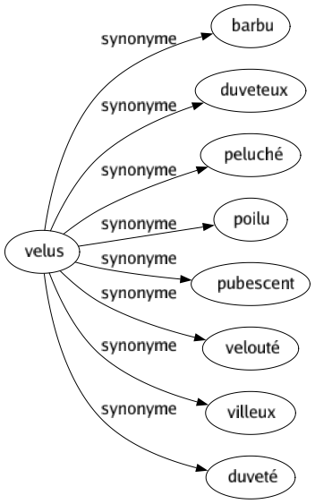 Synonyme de Velus : Barbu Duveteux Peluché Poilu Pubescent Velouté Villeux Duveté 