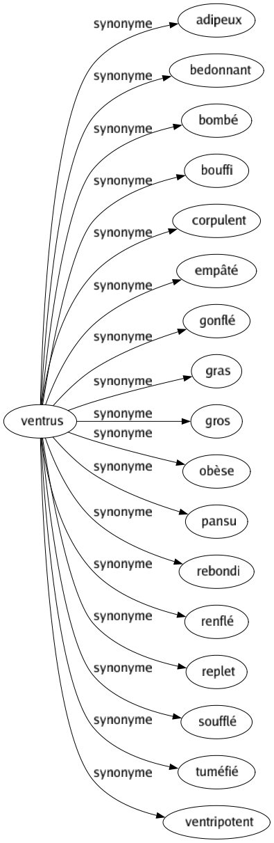 Synonyme de Ventrus : Adipeux Bedonnant Bombé Bouffi Corpulent Empâté Gonflé Gras Gros Obèse Pansu Rebondi Renflé Replet Soufflé Tuméfié Ventripotent 