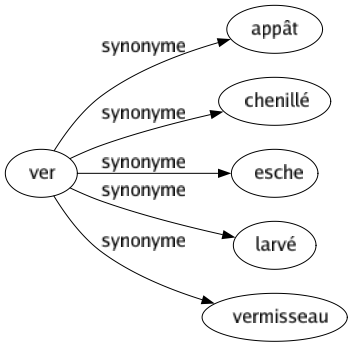 Synonyme de Ver : Appât Chenillé Esche Larvé Vermisseau 