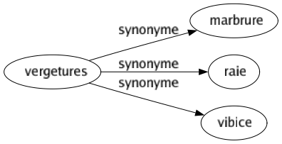 Synonyme de Vergetures : Marbrure Raie Vibice 