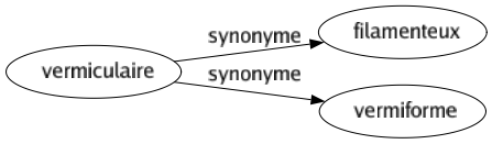 Synonyme de Vermiculaire : Filamenteux Vermiforme 