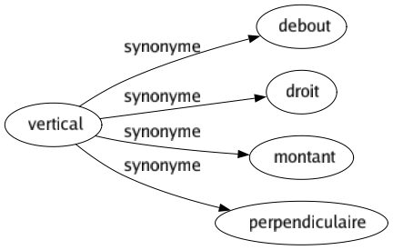 Synonyme de Vertical : Debout Droit Montant Perpendiculaire 