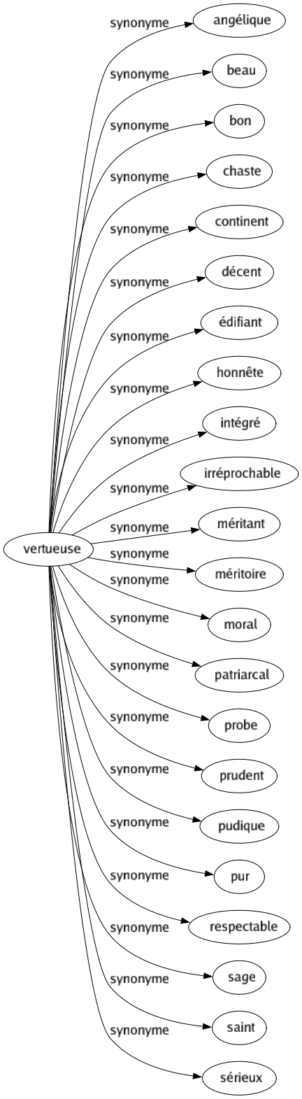 Synonyme de Vertueuse : Angélique Beau Bon Chaste Continent Décent Édifiant Honnête Intégré Irréprochable Méritant Méritoire Moral Patriarcal Probe Prudent Pudique Pur Respectable Sage Saint Sérieux 