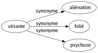 Synonyme de Vésanie : Aliénation Folié Psychose 