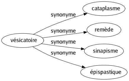 Synonyme de Vésicatoire : Cataplasme Remède Sinapisme Épispastique 