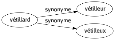 Synonyme de Vétillard : Vétilleur Vétilleux 