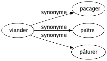 Synonyme de Viander : Pacager Paître Pâturer 