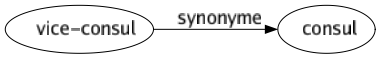 Synonyme de Vice-consul : Consul 