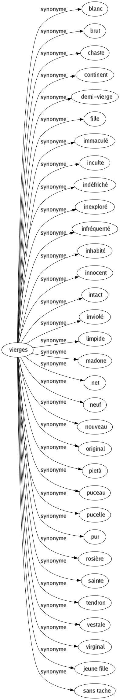 Synonyme de Vierges : Blanc Brut Chaste Continent Demi-vierge Fille Immaculé Inculte Indéfriché Inexploré Infréquenté Inhabité Innocent Intact Inviolé Limpide Madone Net Neuf Nouveau Original Pietà Puceau Pucelle Pur Rosière Sainte Tendron Vestale Virginal Jeune fille Sans tache 