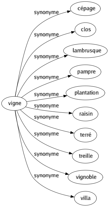 Synonyme de Vigne : Cépage Clos Lambrusque Pampre Plantation Raisin Terré Treille Vignoble Villa 