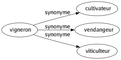 Synonyme de Vigneron : Cultivateur Vendangeur Viticulteur 