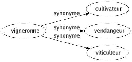 Synonyme de Vigneronne : Cultivateur Vendangeur Viticulteur 
