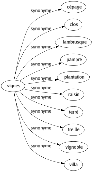 Synonyme de Vignes : Cépage Clos Lambrusque Pampre Plantation Raisin Terré Treille Vignoble Villa 