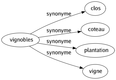 Synonyme de Vignobles : Clos Coteau Plantation Vigne 