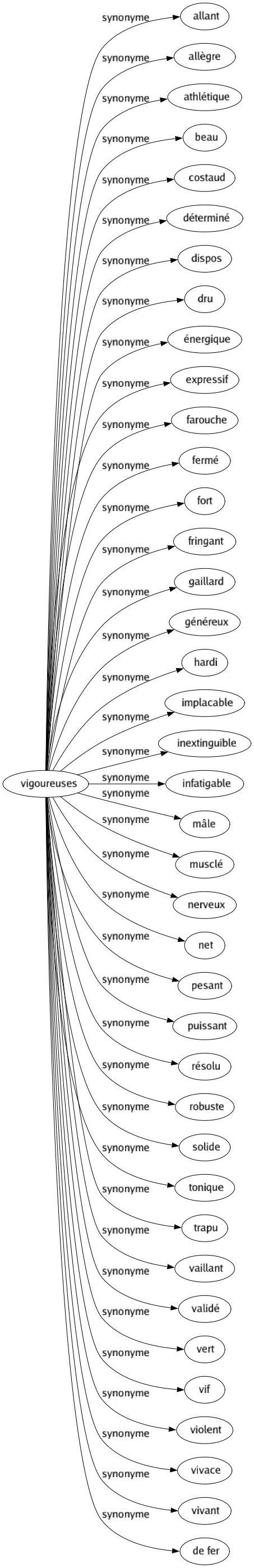 Synonyme de Vigoureuses : Allant Allègre Athlétique Beau Costaud Déterminé Dispos Dru Énergique Expressif Farouche Fermé Fort Fringant Gaillard Généreux Hardi Implacable Inextinguible Infatigable Mâle Musclé Nerveux Net Pesant Puissant Résolu Robuste Solide Tonique Trapu Vaillant Validé Vert Vif Violent Vivace Vivant De fer 