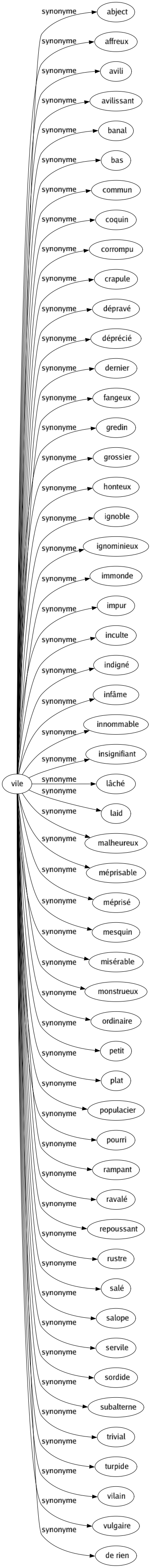 Synonyme de Vile : Abject Affreux Avili Avilissant Banal Bas Commun Coquin Corrompu Crapule Dépravé Déprécié Dernier Fangeux Gredin Grossier Honteux Ignoble Ignominieux Immonde Impur Inculte Indigné Infâme Innommable Insignifiant Lâché Laid Malheureux Méprisable Méprisé Mesquin Misérable Monstrueux Ordinaire Petit Plat Populacier Pourri Rampant Ravalé Repoussant Rustre Salé Salope Servile Sordide Subalterne Trivial Turpide Vilain Vulgaire De rien 