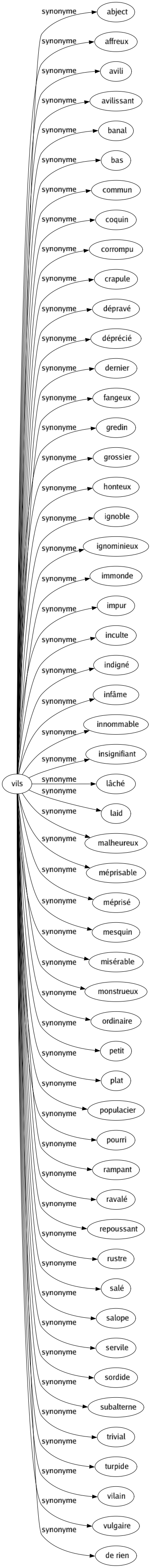 Synonyme de Vils : Abject Affreux Avili Avilissant Banal Bas Commun Coquin Corrompu Crapule Dépravé Déprécié Dernier Fangeux Gredin Grossier Honteux Ignoble Ignominieux Immonde Impur Inculte Indigné Infâme Innommable Insignifiant Lâché Laid Malheureux Méprisable Méprisé Mesquin Misérable Monstrueux Ordinaire Petit Plat Populacier Pourri Rampant Ravalé Repoussant Rustre Salé Salope Servile Sordide Subalterne Trivial Turpide Vilain Vulgaire De rien 