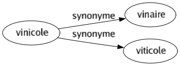 Synonyme de Vinicole : Vinaire Viticole 