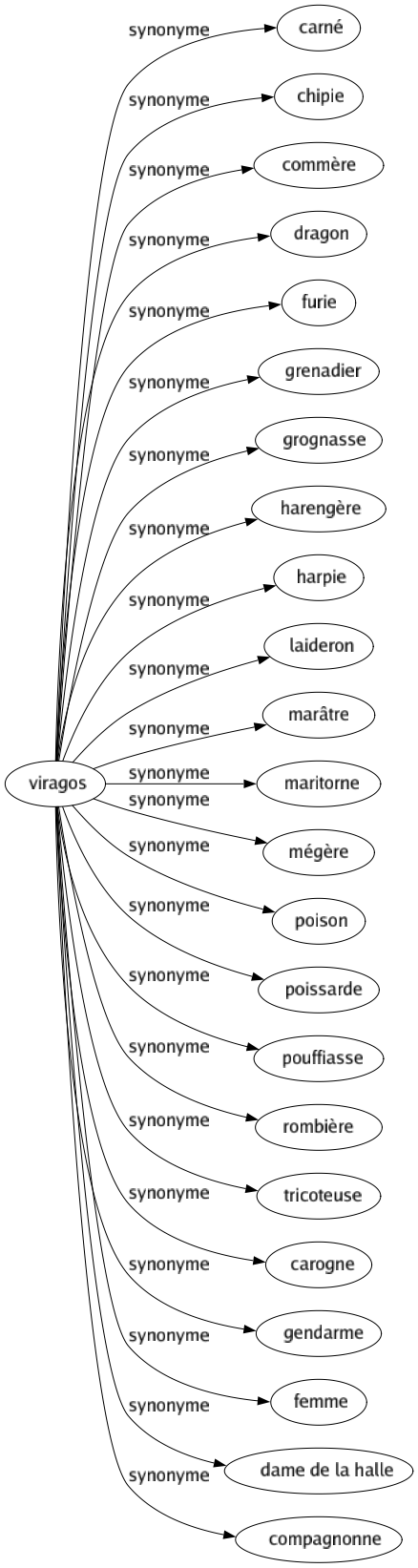 Synonyme de Viragos : Carné Chipie Commère Dragon Furie Grenadier Grognasse Harengère Harpie Laideron Marâtre Maritorne Mégère Poison Poissarde Pouffiasse Rombière Tricoteuse Carogne Gendarme Femme Dame de la halle Compagnonne 