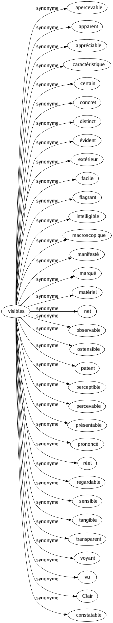 Synonyme de Visibles : Apercevable Apparent Appréciable Caractéristique Certain Concret Distinct Évident Extérieur Facile Flagrant Intelligible Macroscopique Manifesté Marqué Matériel Net Observable Ostensible Patent Perceptible Percevable Présentable Prononcé Réel Regardable Sensible Tangible Transparent Voyant Vu Clair Constatable 