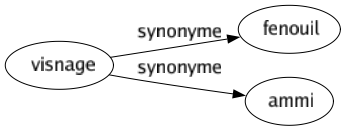 Synonyme de Visnage : Fenouil Ammi 