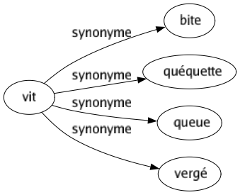 Synonyme de Vit : Bite Quéquette Queue Vergé 