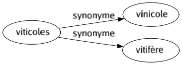 Synonyme de Viticoles : Vinicole Vitifère 