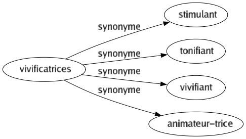 Synonyme de Vivificatrices : Stimulant Tonifiant Vivifiant Animateur-trice 