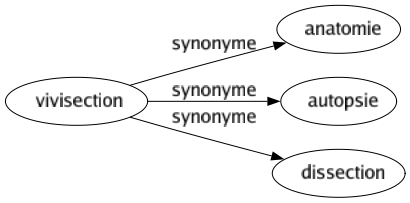 Synonyme de Vivisection : Anatomie Autopsie Dissection 