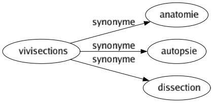 Synonyme de Vivisections : Anatomie Autopsie Dissection 